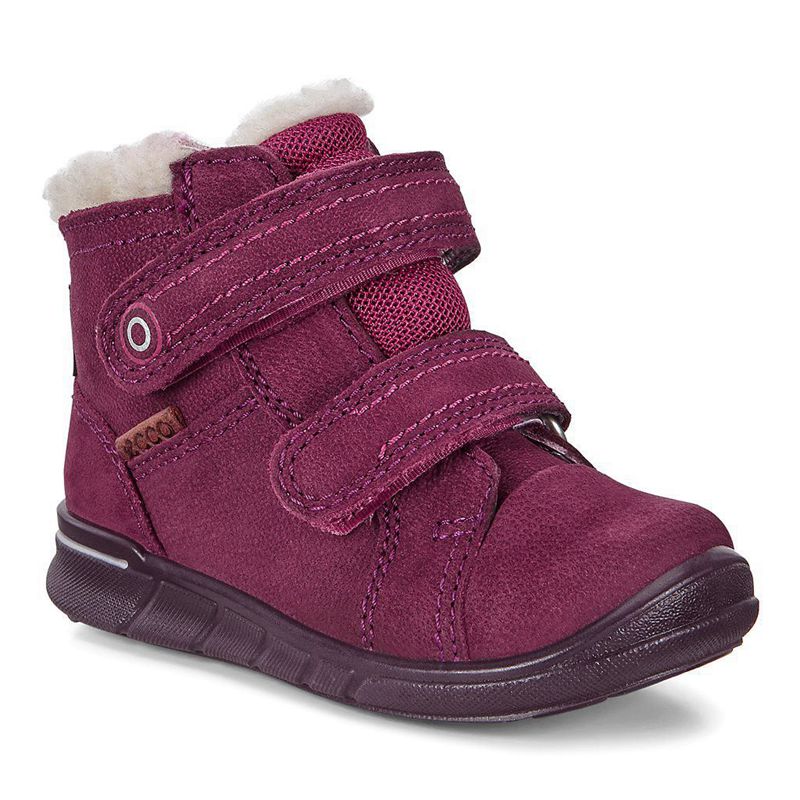 Kids ECCO FIRST - Boots Purple - India EMGZJO136